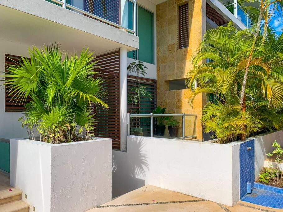 Oasis 12 *