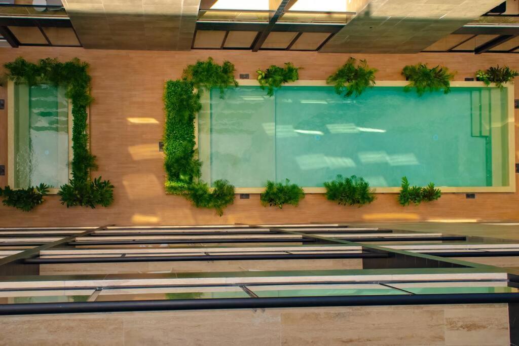 Apartment 2 Beds Pool View Modern Apt/parking, Gym, Rooftop - 405 Musa Playa del Carmen