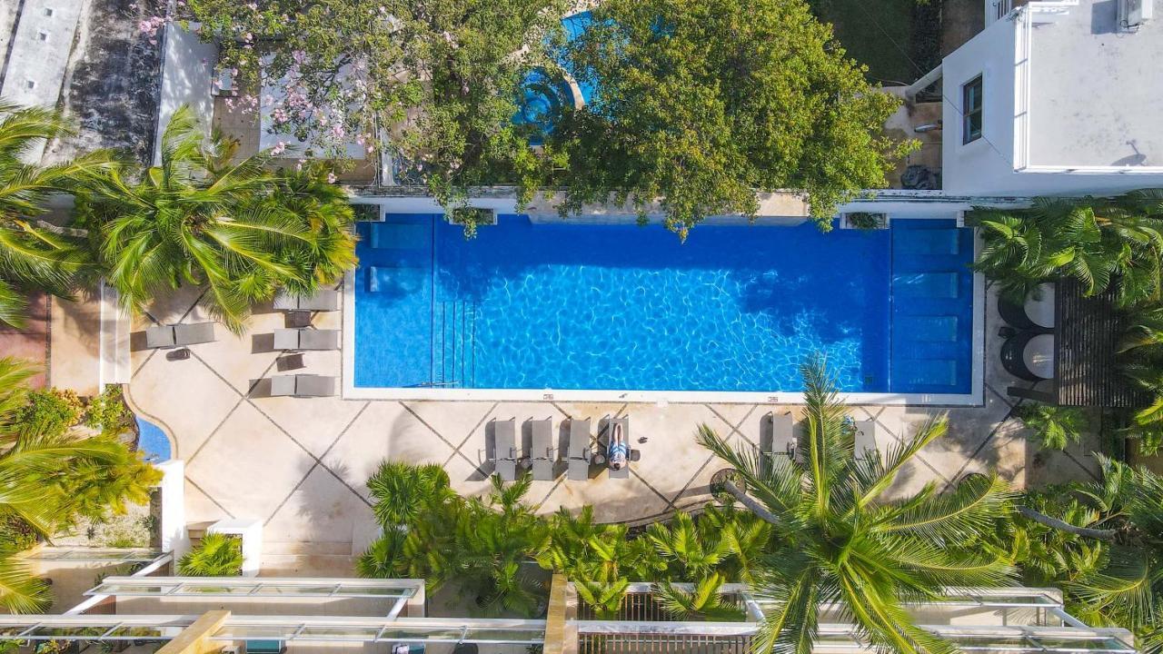 Oasis 12 Playa del Carmen