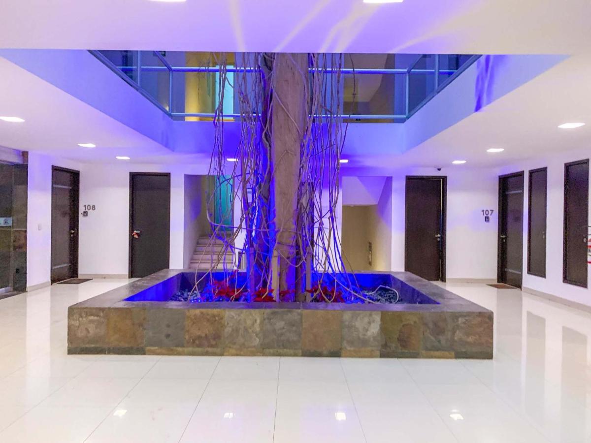 Oasis 12 Appartement