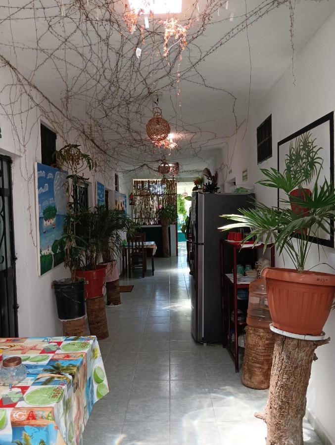 Ya'ax Nah Habitación en casa particular *