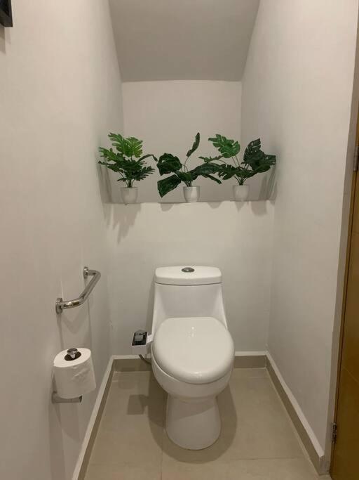Casa Nah Ha' Con Jacuzzi, Jardin Y Alberca