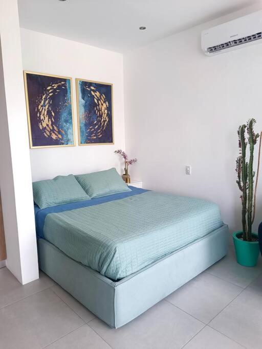Appartement Casa Menta* Luxury Studio *free Bike *speed Wi-fi! *