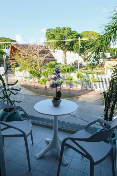 Casa Menta* Luxury Studio *free Bike *speed Wi-fi! Appartement