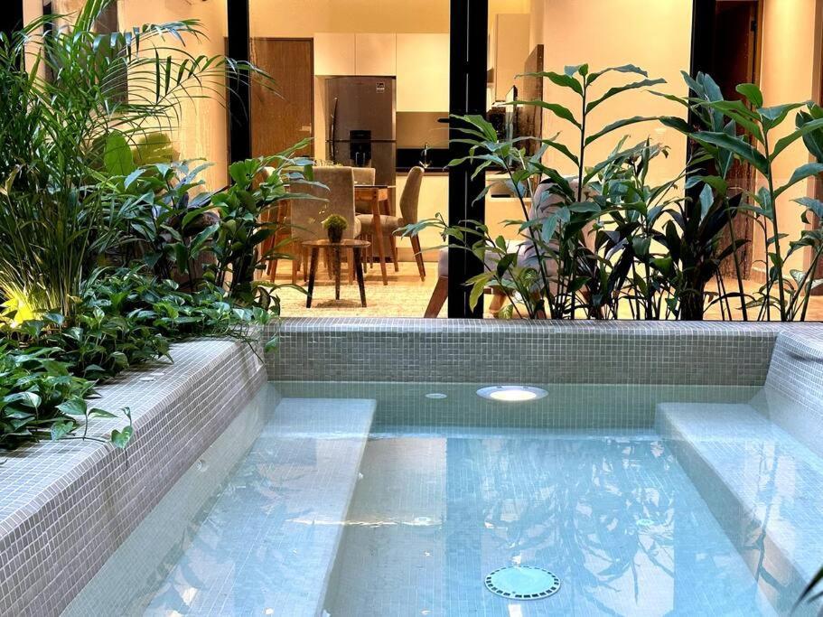 Apartment Modern Loft With Rooftop Pool Steps From The By Solmar