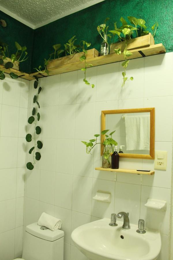 Casa Palmita Gasthof *
