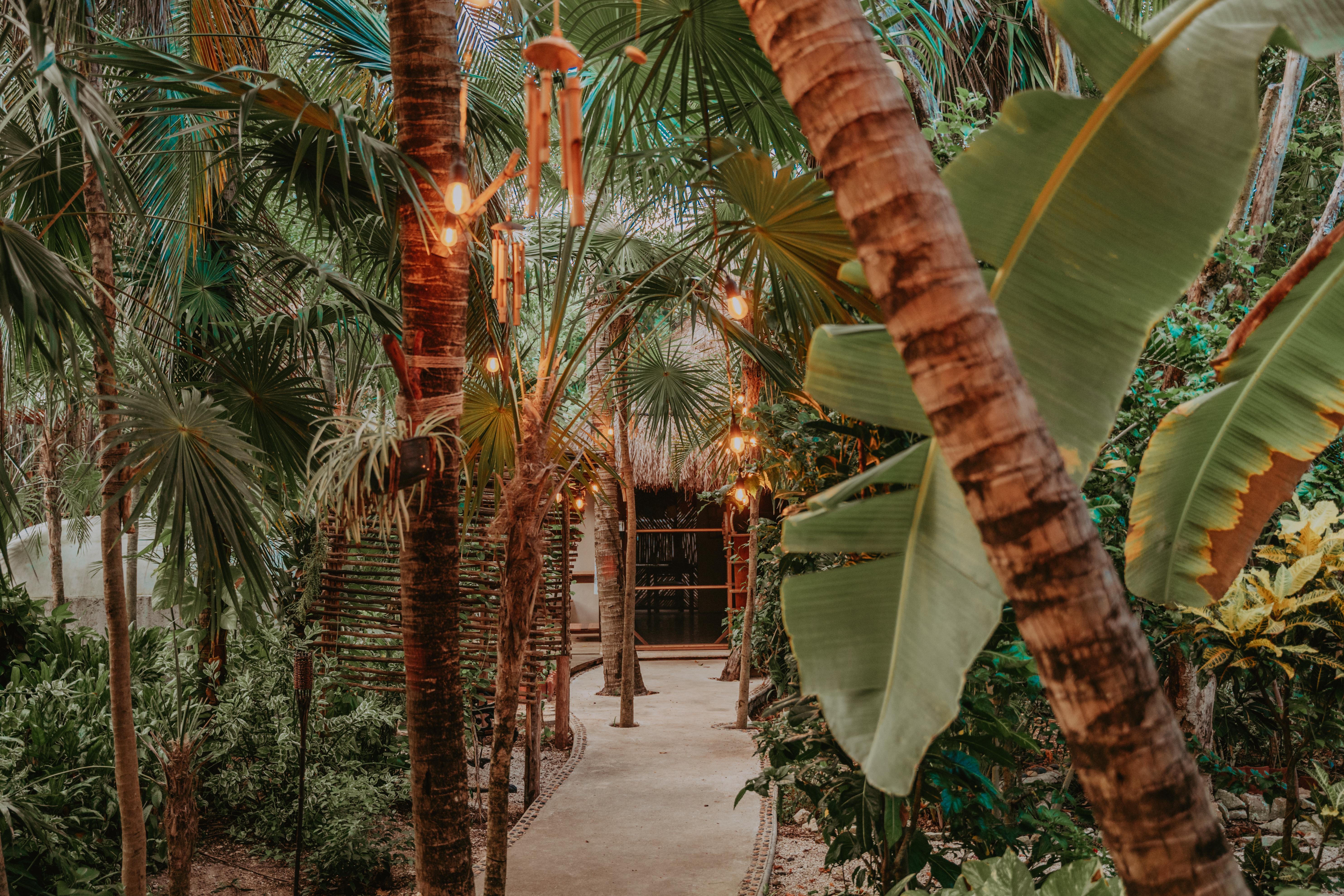 Hotel Petit Lafitte Front & 4*