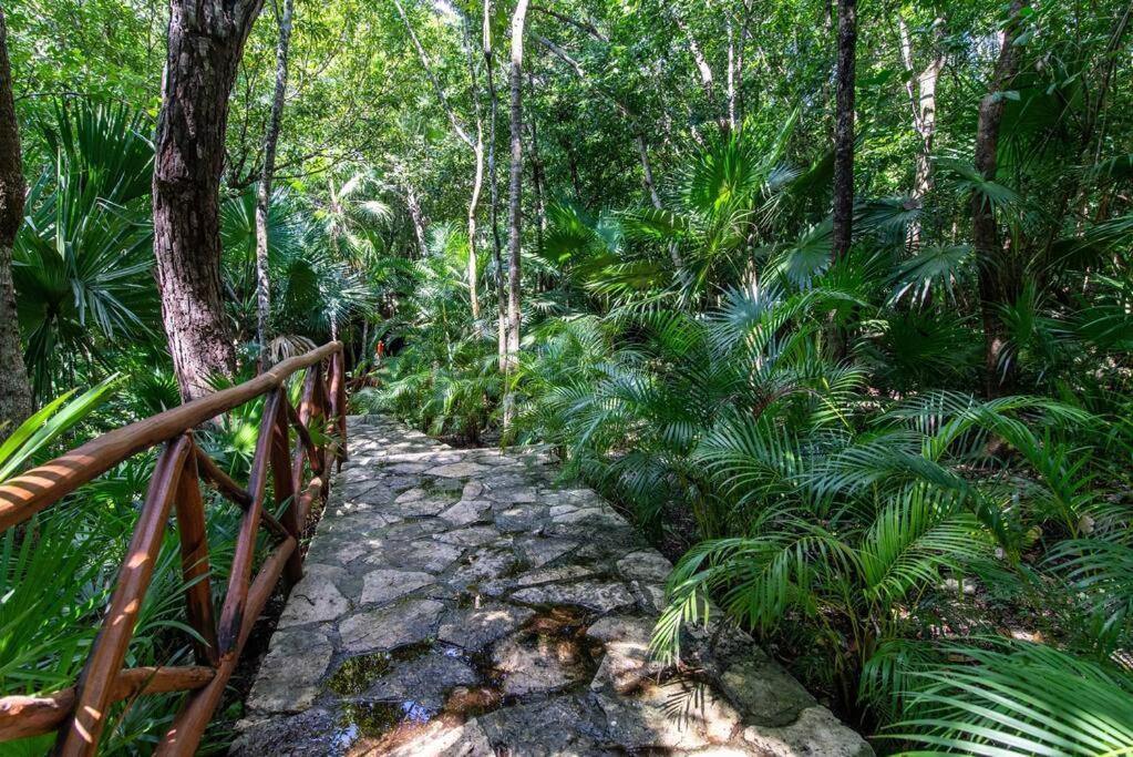 Сasa de vacaciones Beautiful 4br, Up To 8 Guests, Private Pool, 10 Min To Playa del Carmen