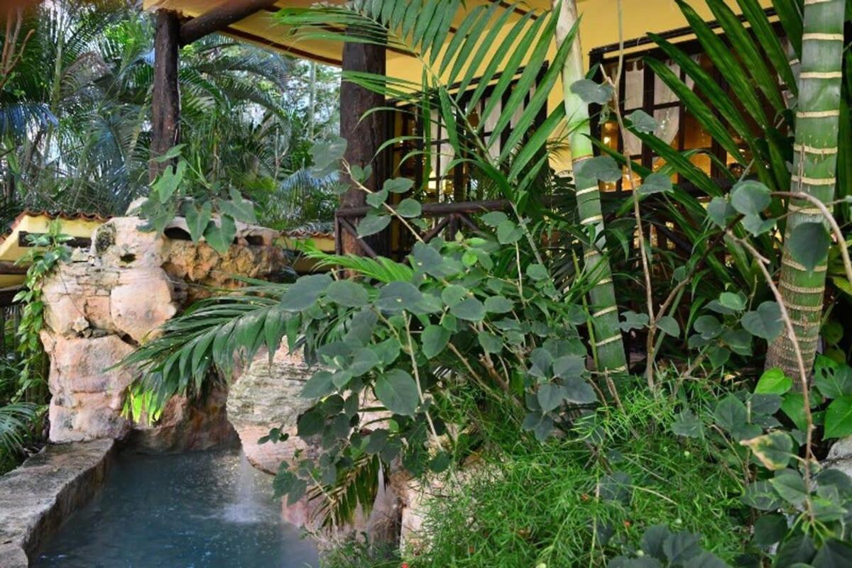 Unique Mexican Villa! Plunge Pool, Ocean Views Сasa de vacaciones Playa del Carmen