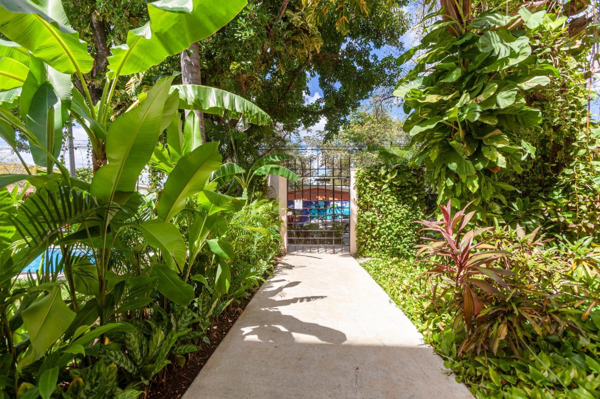 Apartamento Via Tendenza Playa del Carmen