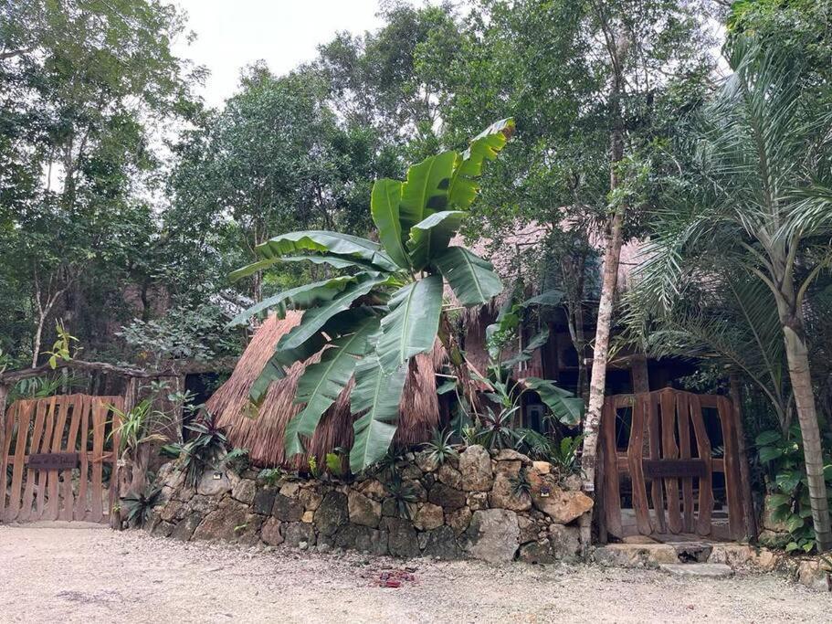 Holiday home Casa De La Selva-jungle Getaway With Cenotes