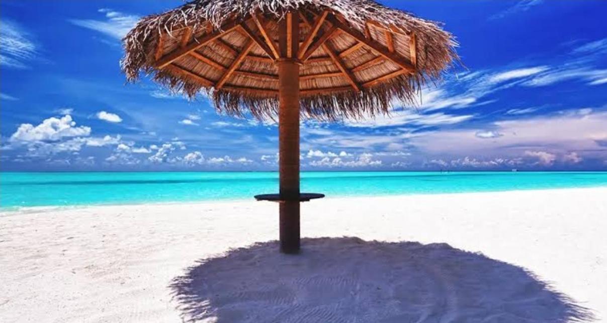 Caribe Grand Dream Apartment *