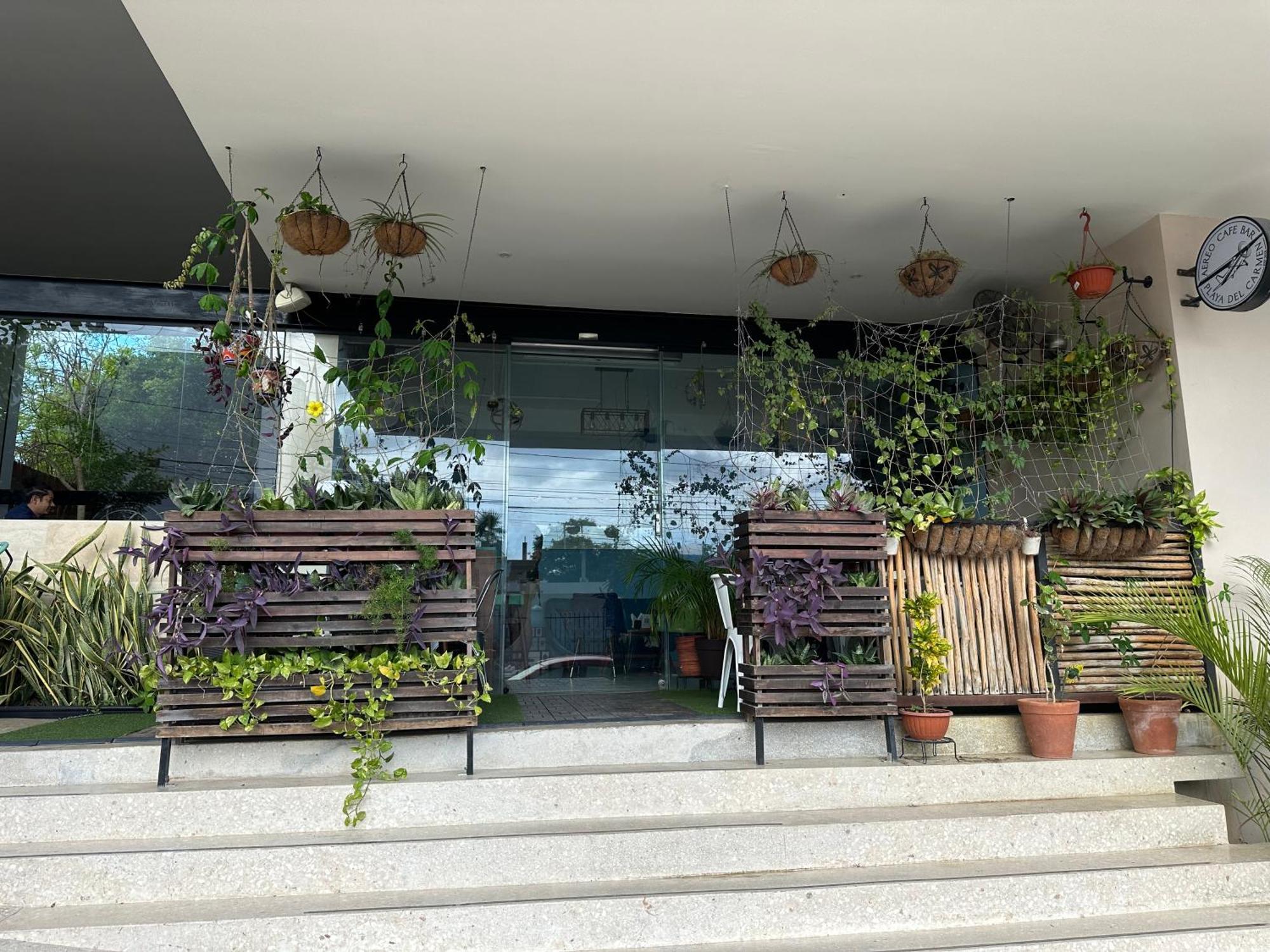 Paseo Luxury House Playa del Carmen