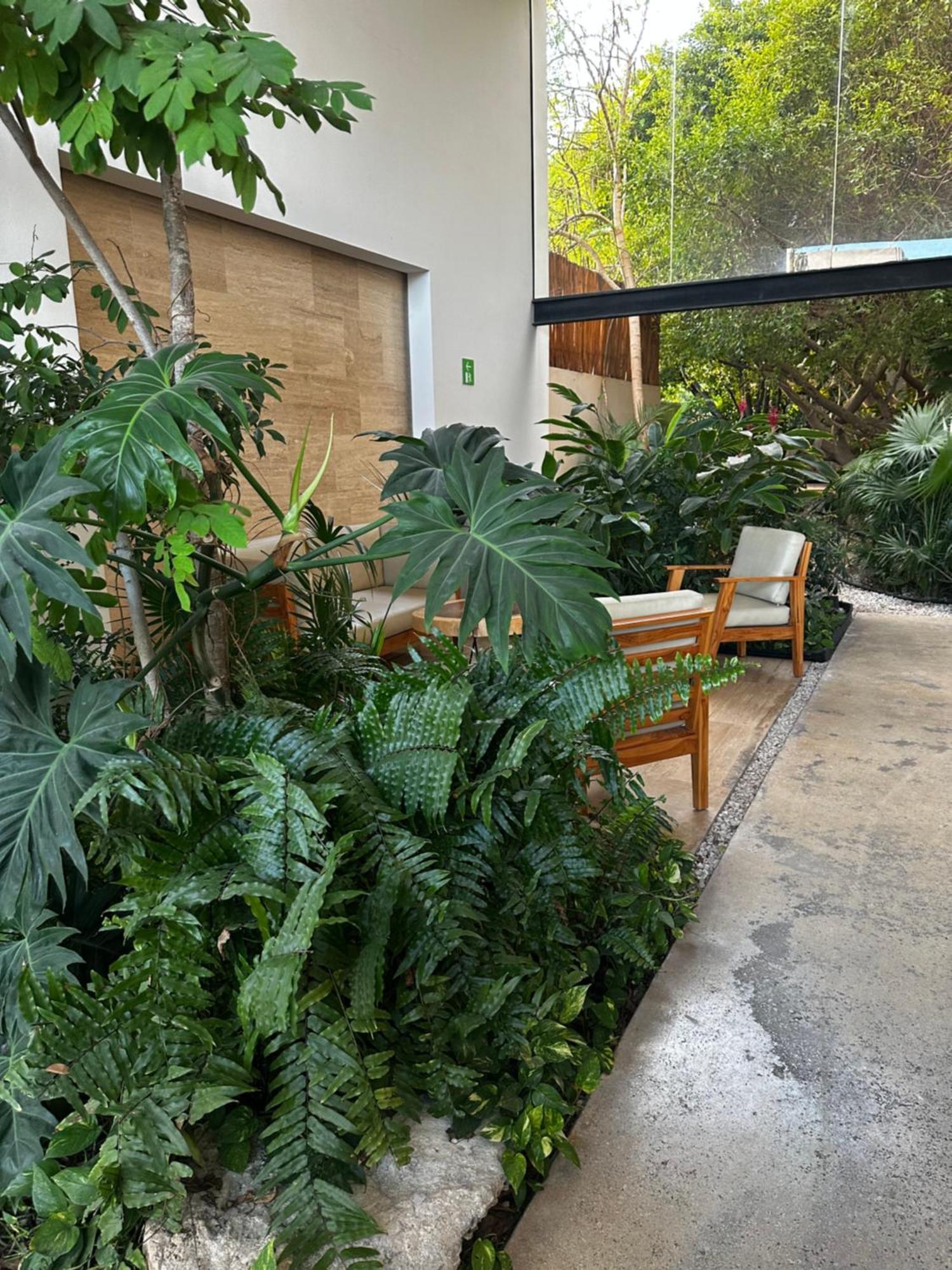 Apartment Paseo Luxury House Playa del Carmen