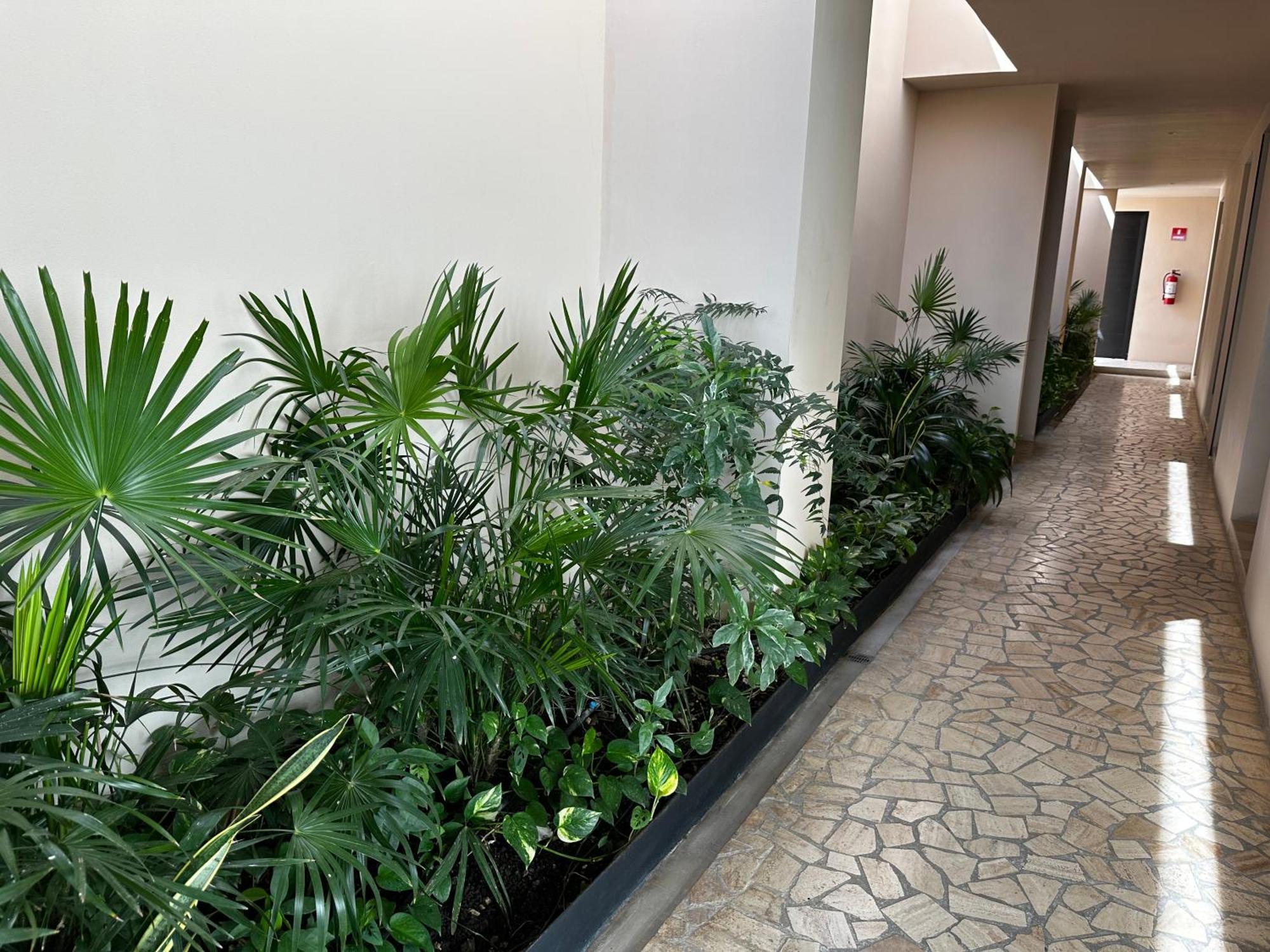 Apartment Paseo Luxury House