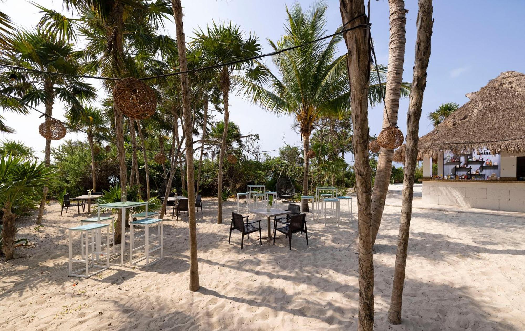 Paradisus Resort 5*