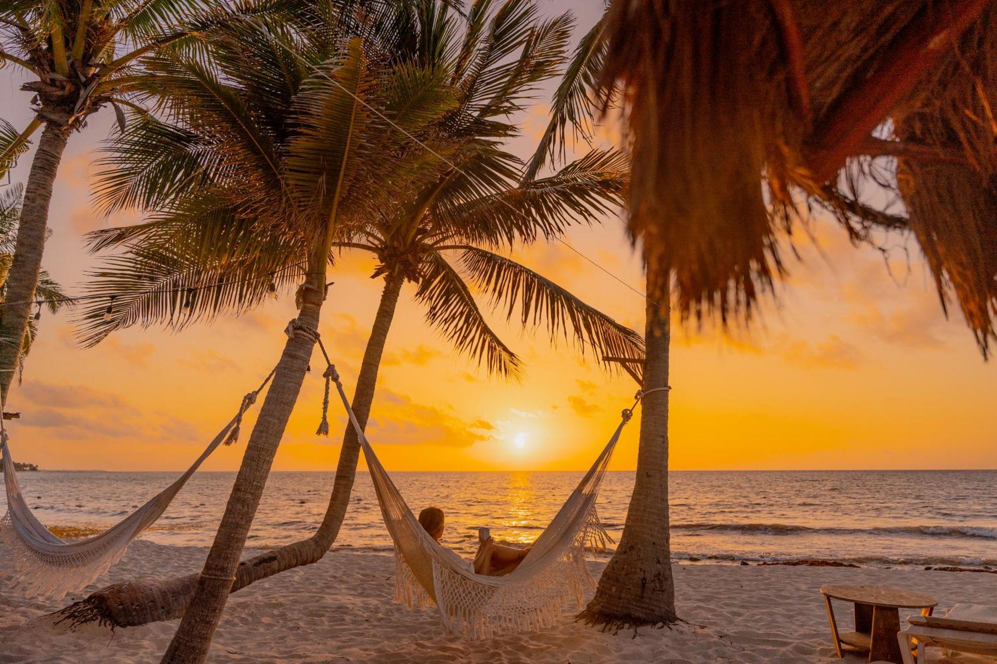 Petit Lafitte Front & Playa del Carmen