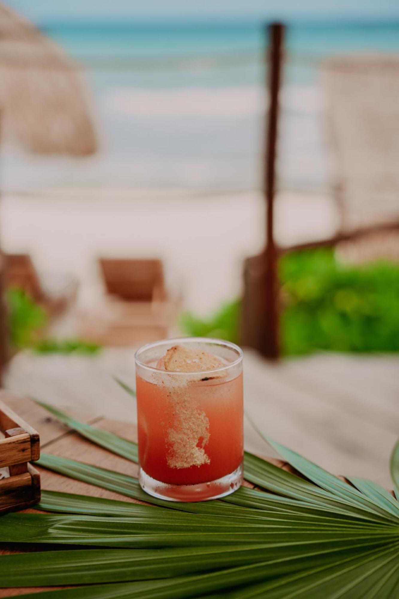 Petit Lafitte Front & Playa del Carmen