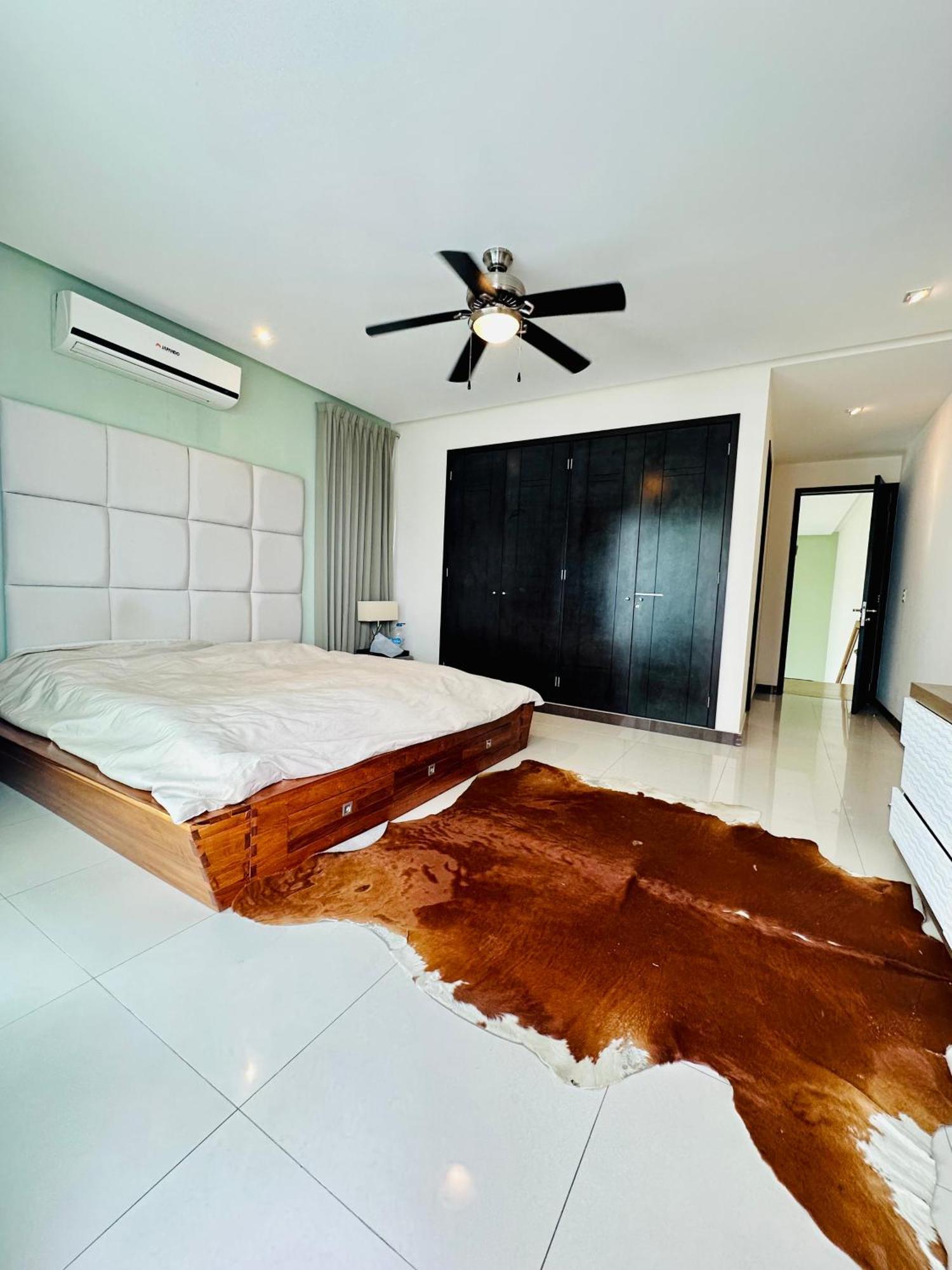 Oasis 12 *