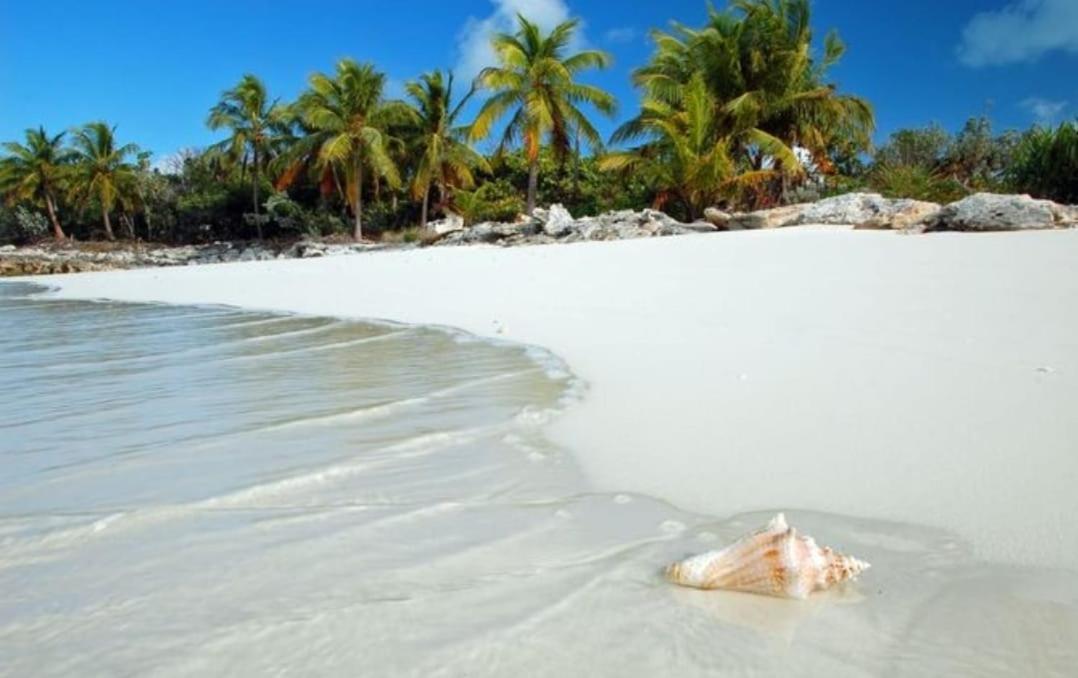 Apartment Caribe Grand Dream *