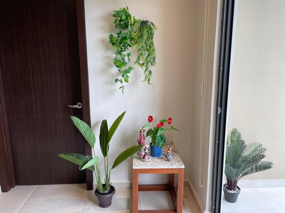 Apartment Taina Playa del Carmen