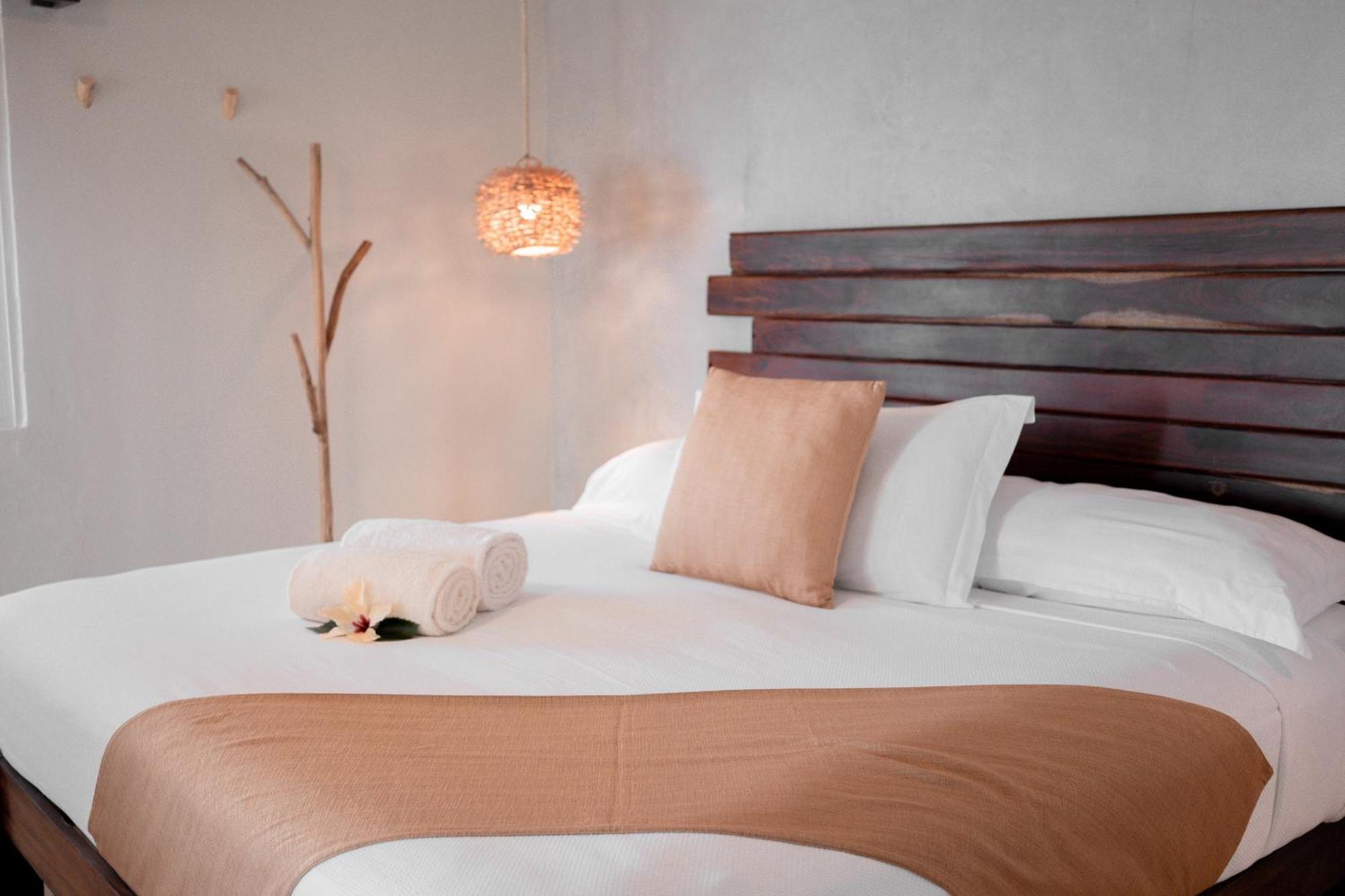 Hotel Petit Lafitte Front &