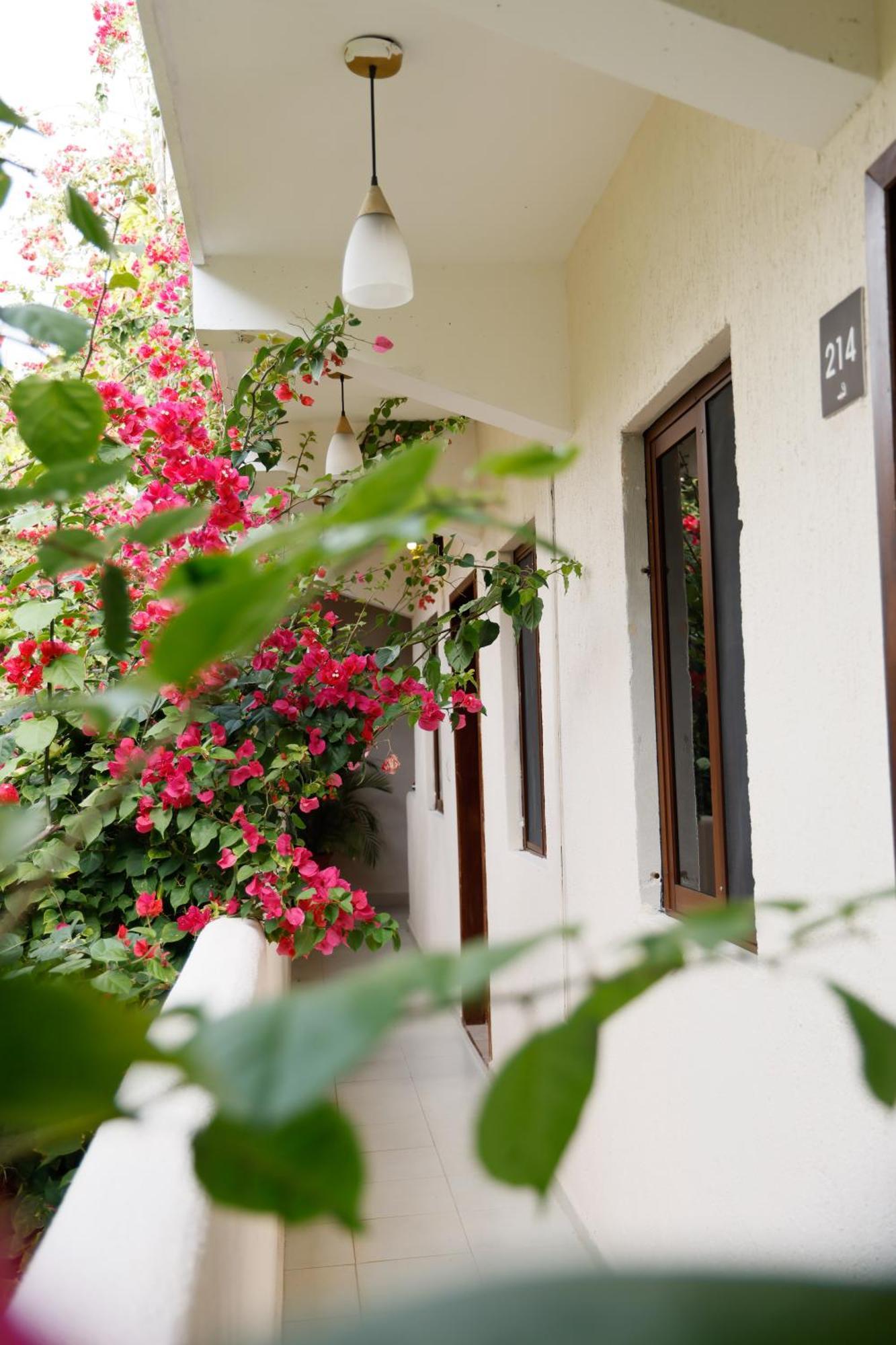 Hotel Hulku Playa del Carmen