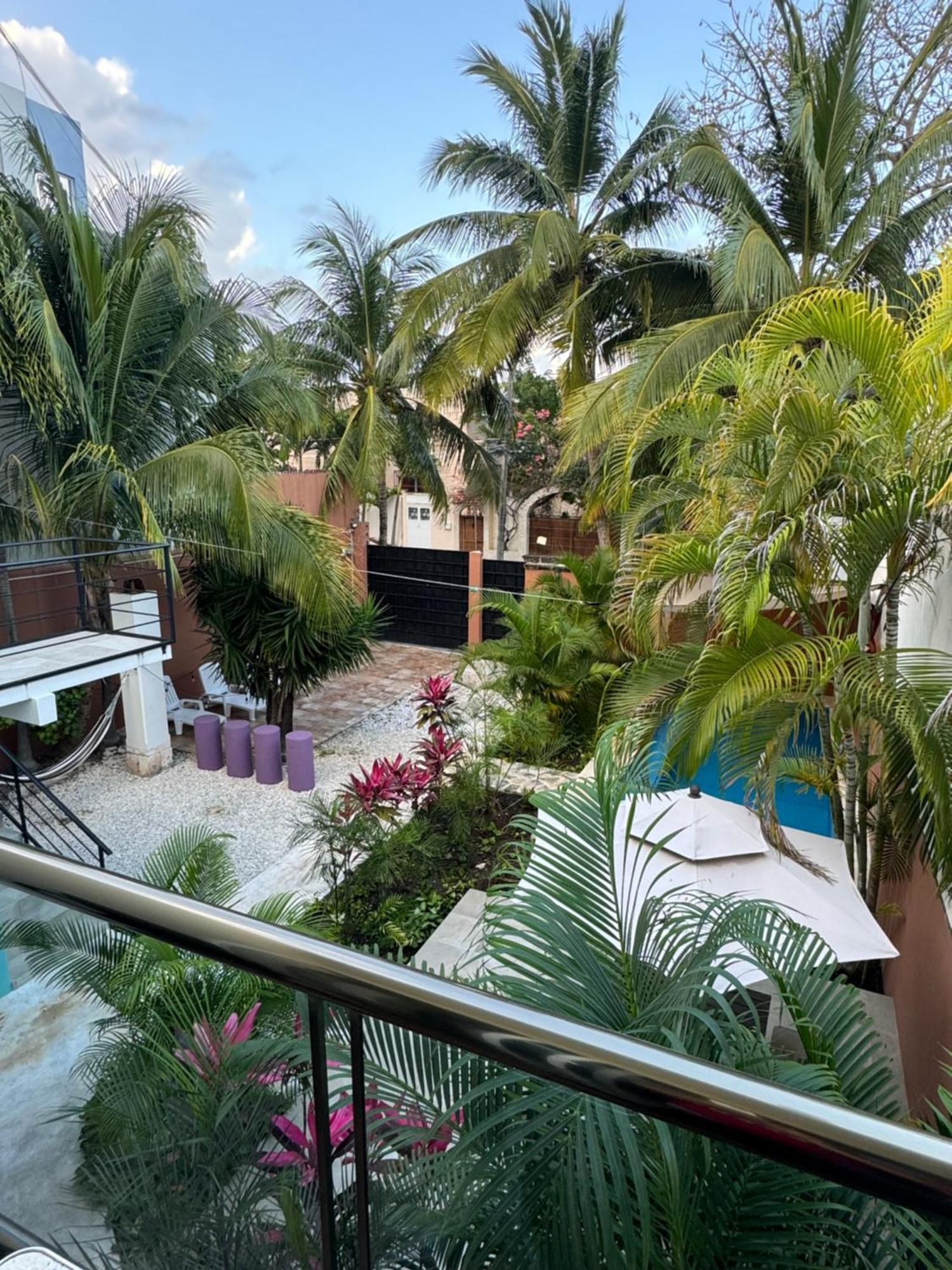 Bed & Breakfast Butterfly House Playa del Carmen
