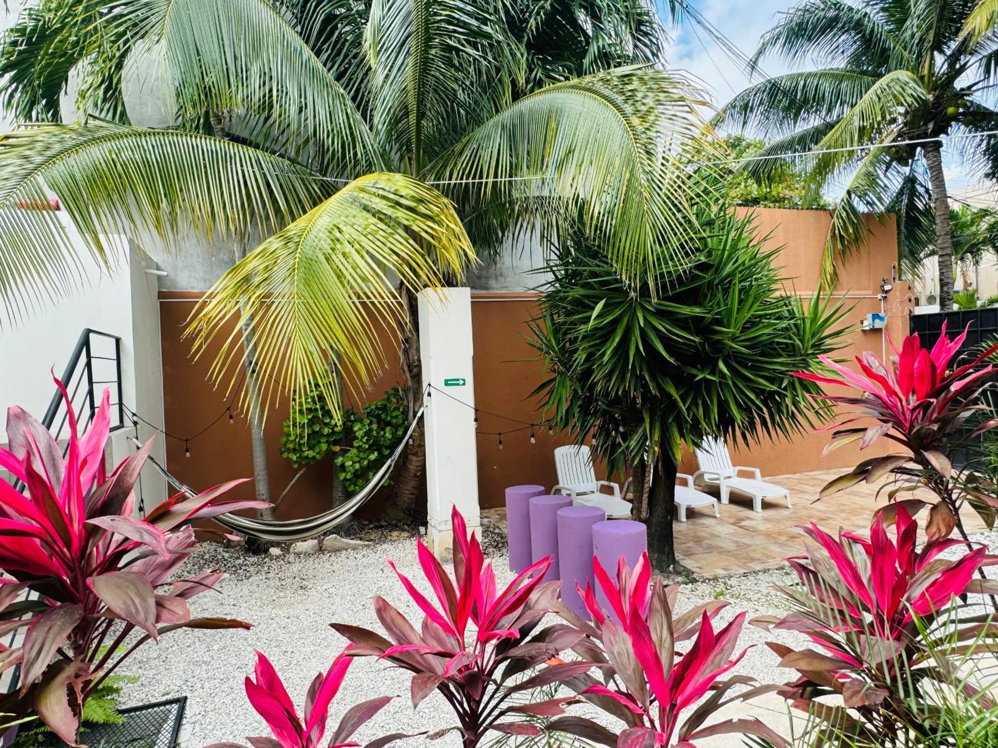 Butterfly House Playa del Carmen
