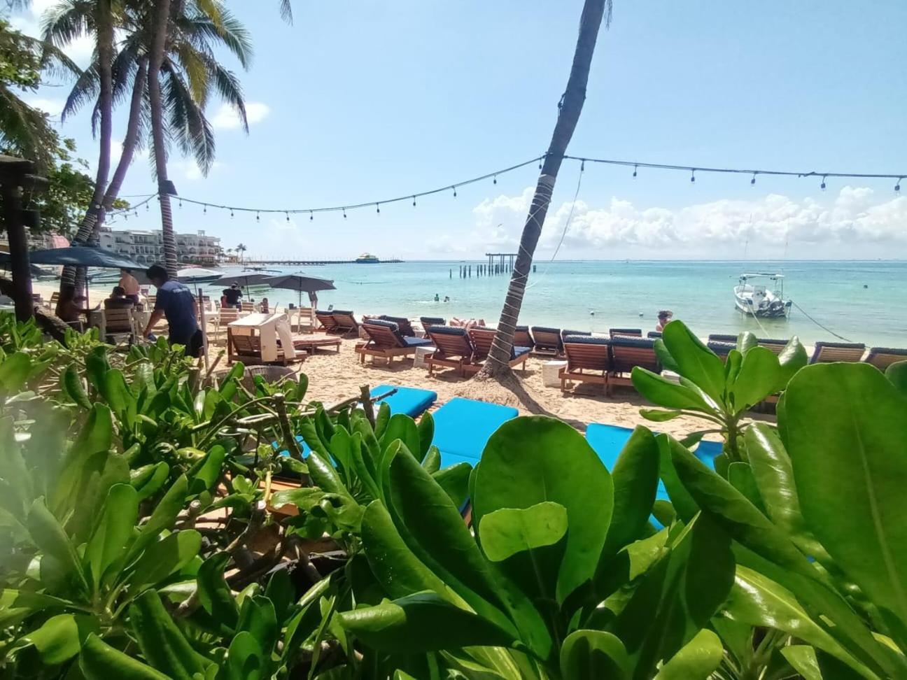 El Taj Oceanfront And Beachside