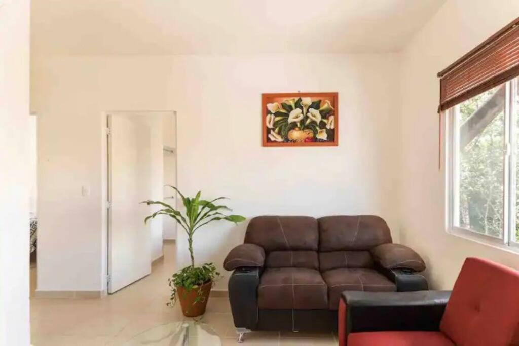 Apartment Charming Space With Pool Near & Tren Maya Playa del Carmen