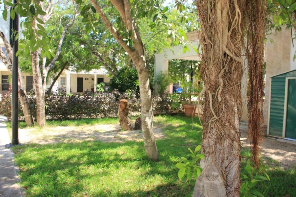 Casa Luzblanca Holiday home