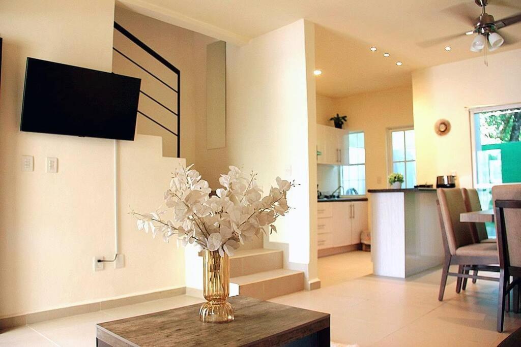 Casa Luzblanca Holiday home Playa del Carmen