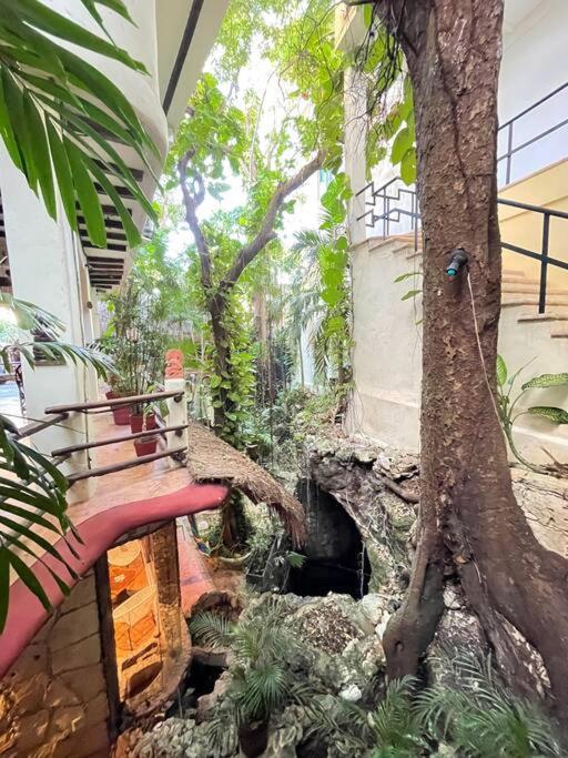 Apartment Jungle Meets Modern Cavern On 5th Ave Playa del Carmen