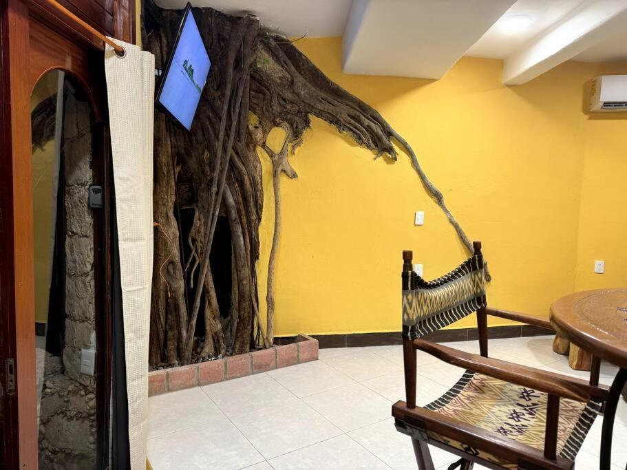 Jungle Meets Modern Cavern On 5th Ave Apartment Playa del Carmen