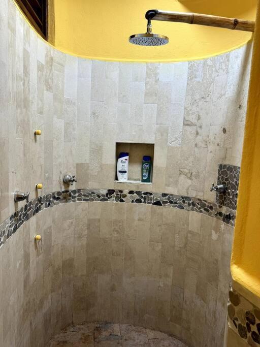 Apartment Jungle Meets Modern Cavern On 5th Ave Playa del Carmen