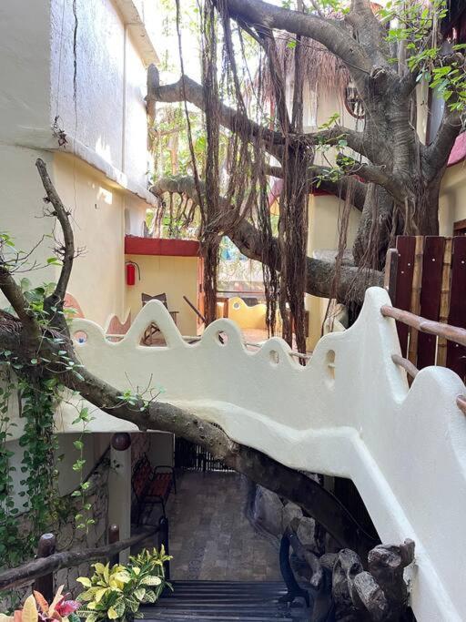 Jungle Meets Modern Cavern On 5th Ave * Playa del Carmen