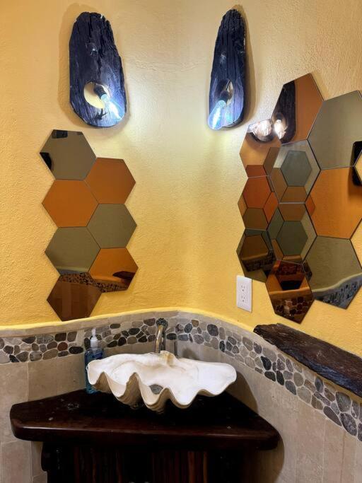 Apartment Jungle Meets Modern Cavern On 5th Ave Playa del Carmen