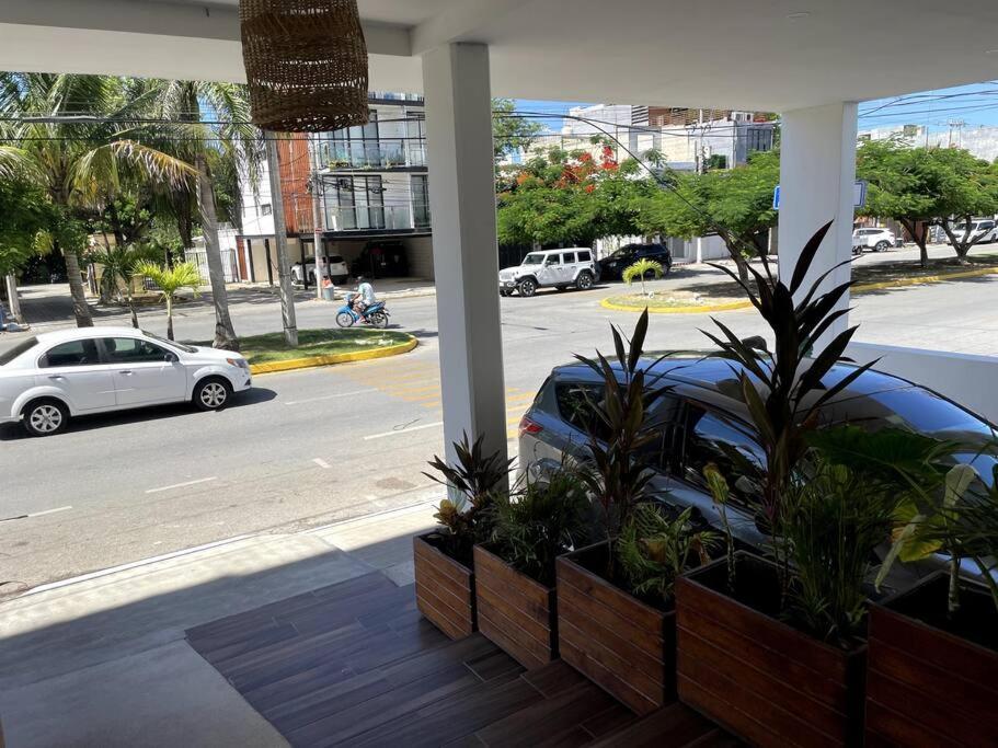 Ceiba Spacious Near The Sea And 5th Avenue Apartment Playa del Carmen