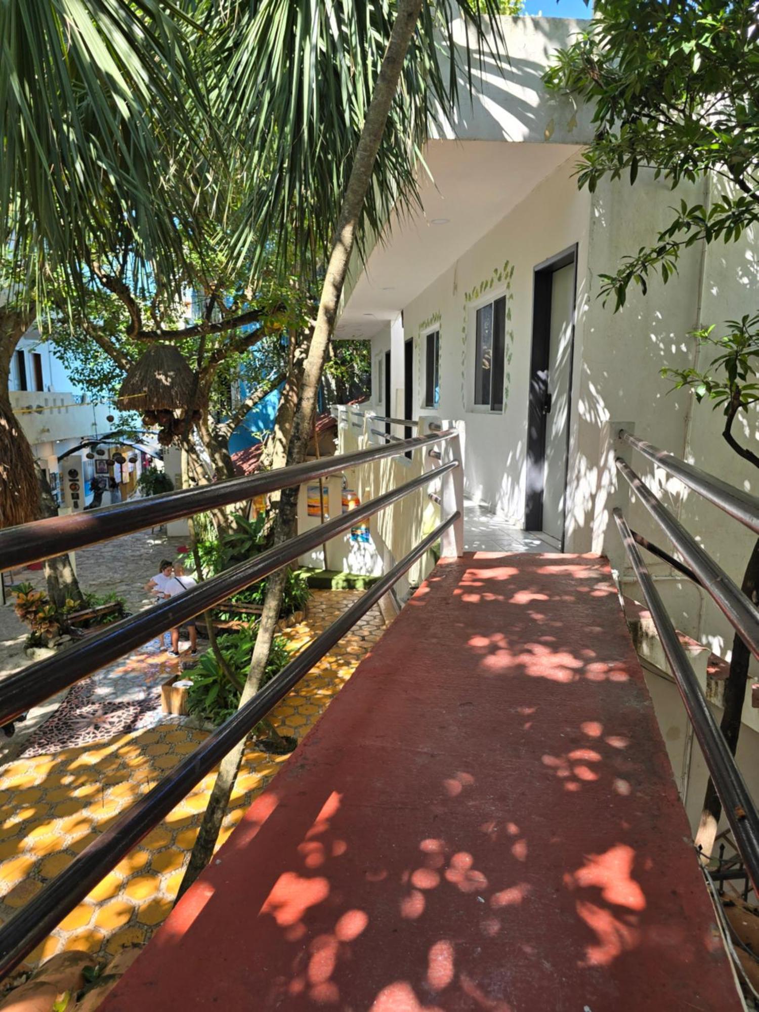 Ha Garden Gallery - 5th Avenue Playa del Carmen