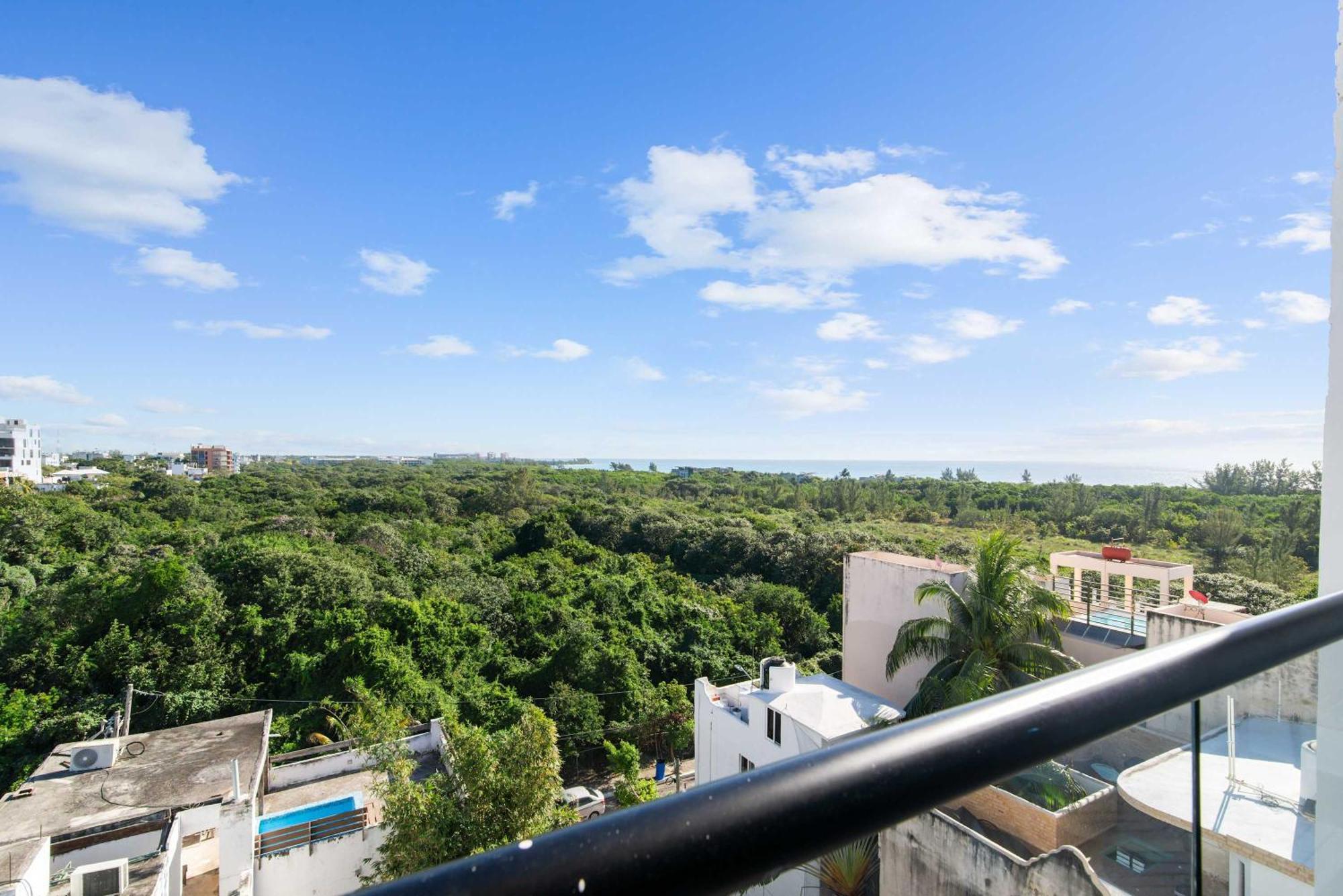 Jungle With Views Walk Everywhere Apartamento *