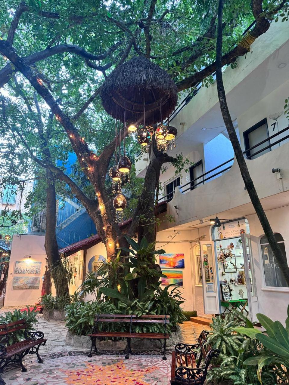 Ha Garden Gallery - 5th Avenue * Playa del Carmen