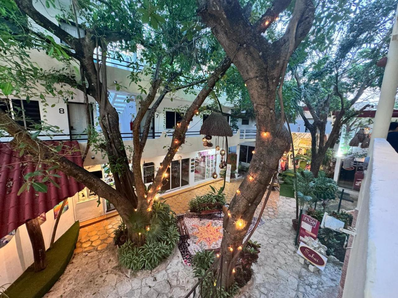 Ha Garden Gallery - 5th Avenue Playa del Carmen
