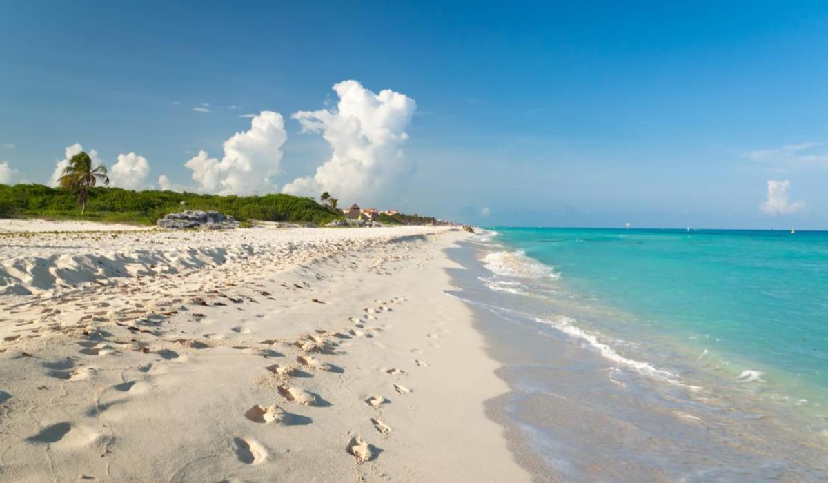 Villa With Private Pool & Large Garden In Playacar *