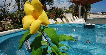 Maya Turquesa 50 Mts 5ta Avenida Hotel Playa del Carmen