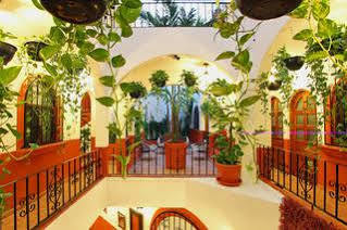 El Patio Playa del Carmen