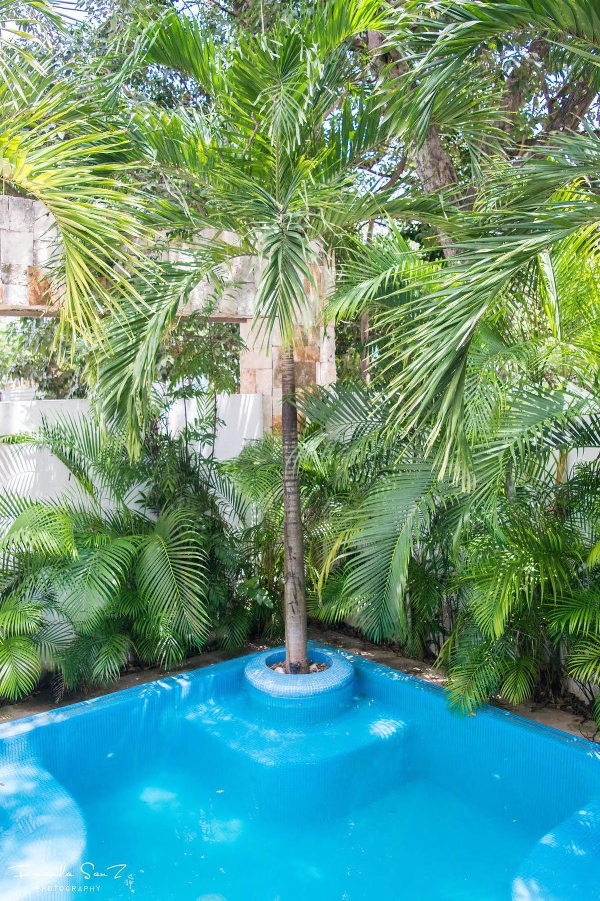 Nasim Con Acceso Club Gratis, Metros 5th Avenida 3* Playa del Carmen