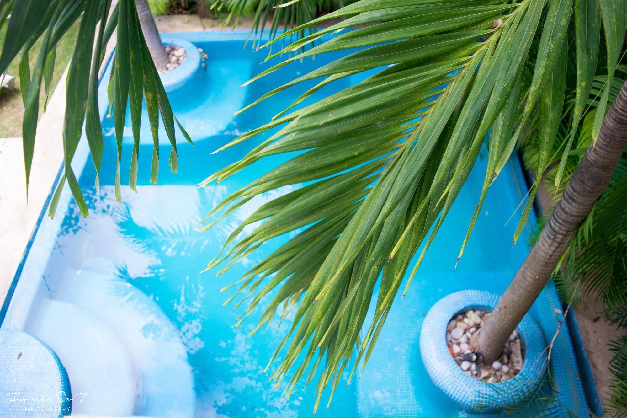 Aparthotel Nasim Con Acceso Club Gratis, Metros 5th Avenida Playa del Carmen