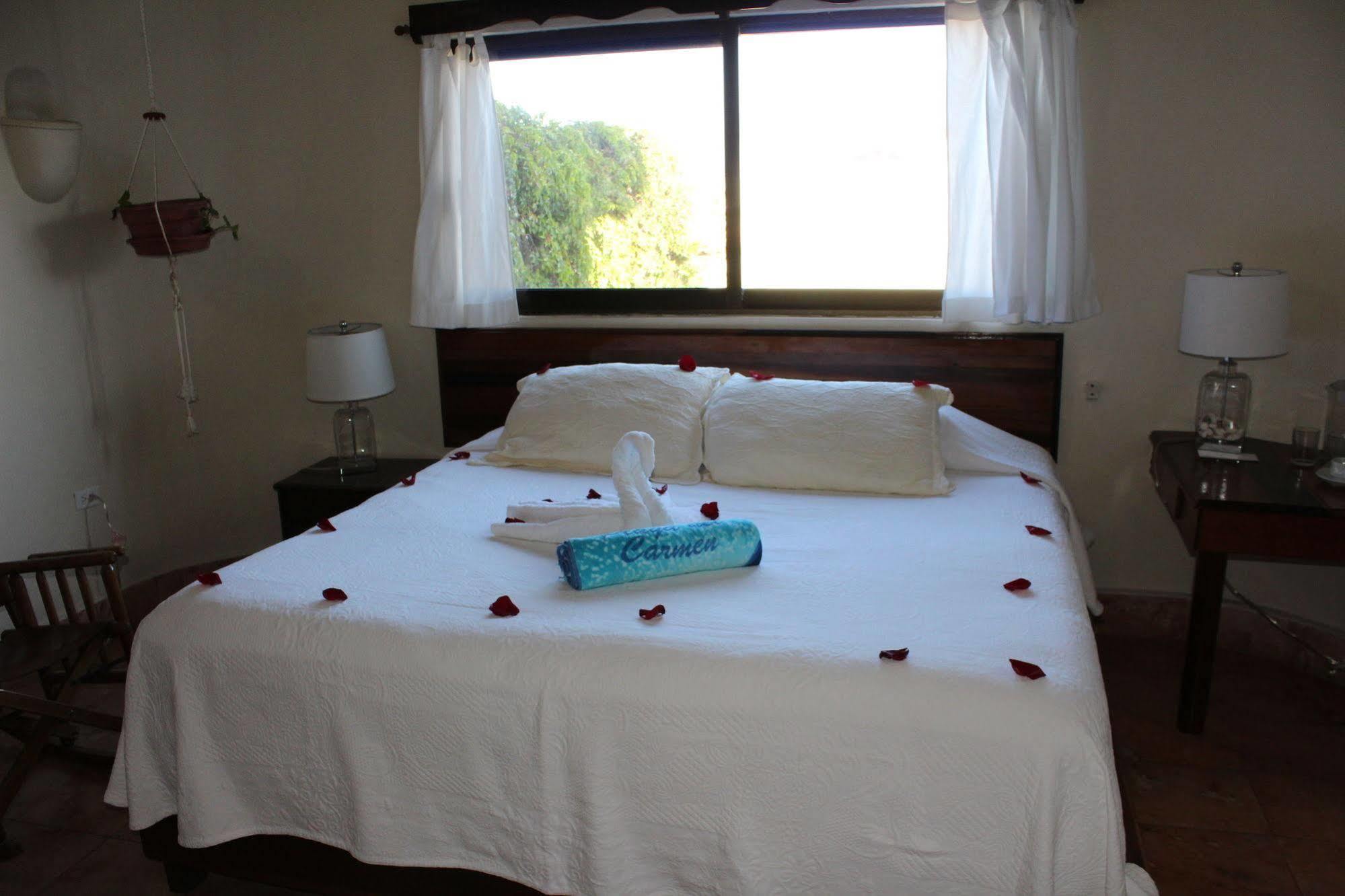 Hotel Delfin Playa del Carmen