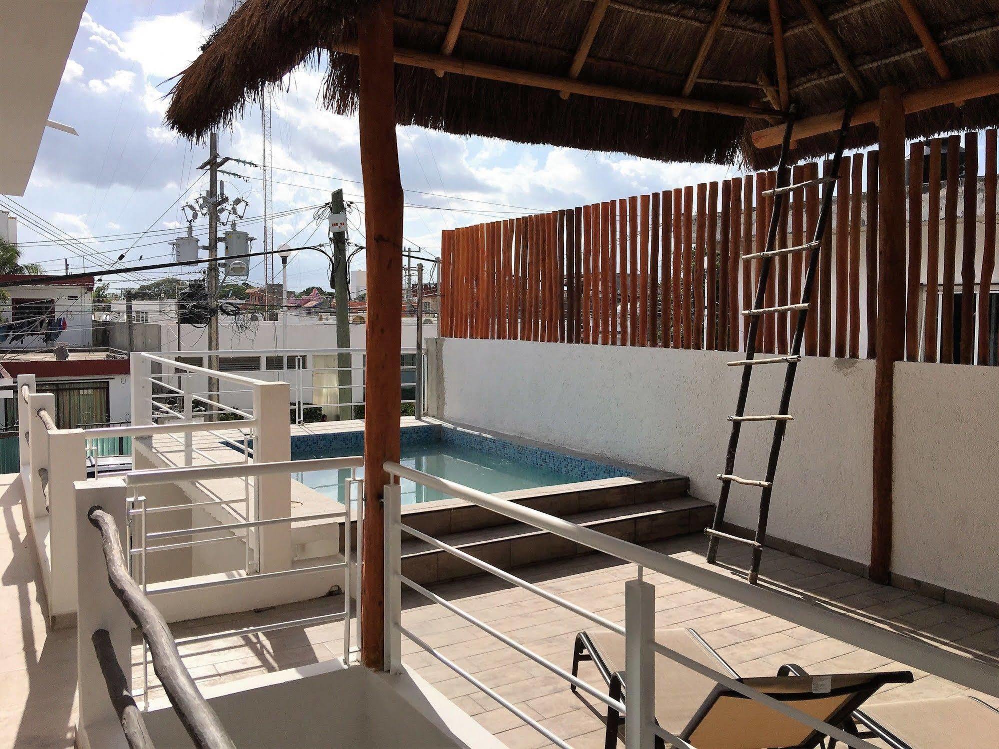 Coral Playa del Carmen